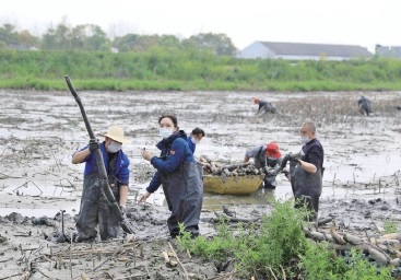 多方援手“为湖北拼一单”