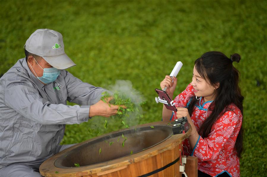 #（社会）（2）湖北鹤峰：网络直播“带茶出山”