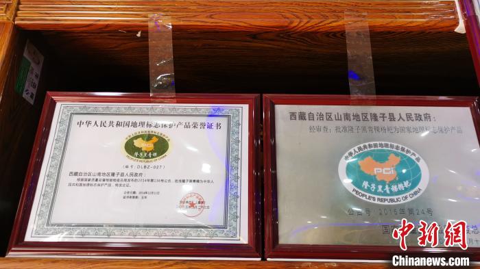 图为2015年，隆子黑青稞成为中国国家地理标志保护产品。　张伟 摄