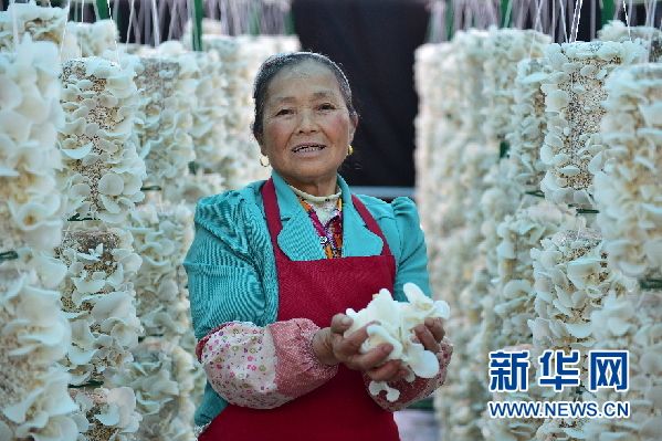 贵州铜仁：外引内培打造优势特色农业产业集群