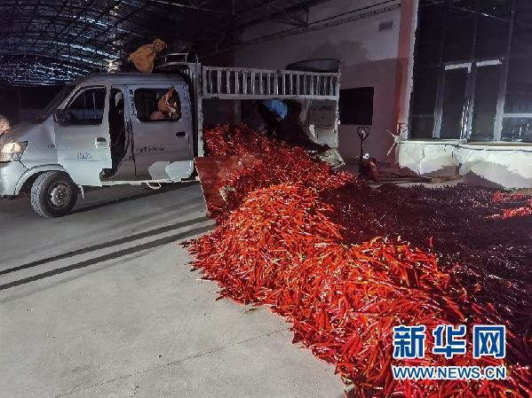 贵州铜仁：外引内培打造优势特色农业产业集群