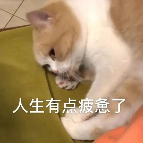 低糖月饼吃了拉肚子？！看看你买的月饼里，有没有这些成分